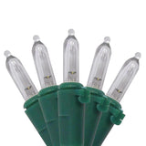 Celebrations Blue LED Mini Warm White 50 ct String Christmas Lights 16 ft., Pack of 12