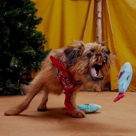 Bark Blue/Red Plush Mike & Mike The Trout Twins Dog Toy 2 pk, Pack of 3