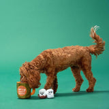 Bark Multicolored Plush Sniff Miss Dog Toy 1 pk, Pack of 3