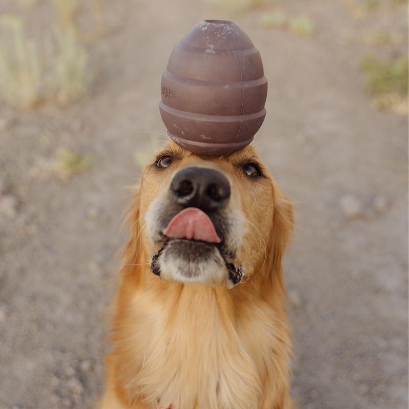 Bark Plush Pup's Treats Pinecone Dog Toy 1 pk, Pack of 3