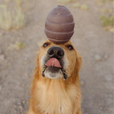 Bark Plush Pup's Treats Pinecone Dog Toy 1 pk, Pack of 3