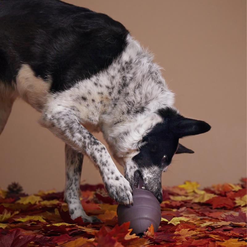 Bark Plush Pup's Treats Pinecone Dog Toy 1 pk, Pack of 3