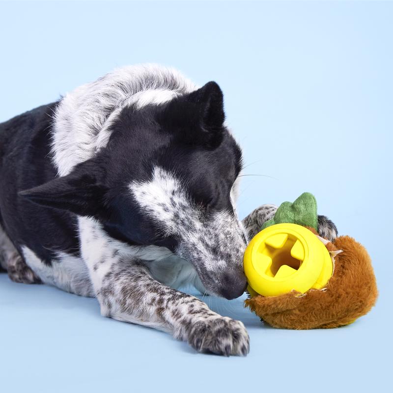 Bark Rubber Hen Dog Toy 1 pk, Pack of 3