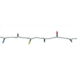 Celebrations Platinum LED C6 Multicolored Duet 50 ct String Christmas Lights 25 ft.