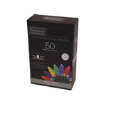 Celebrations Platinum LED C6 Multicolored Duet 50 ct String Christmas Lights 25 ft.