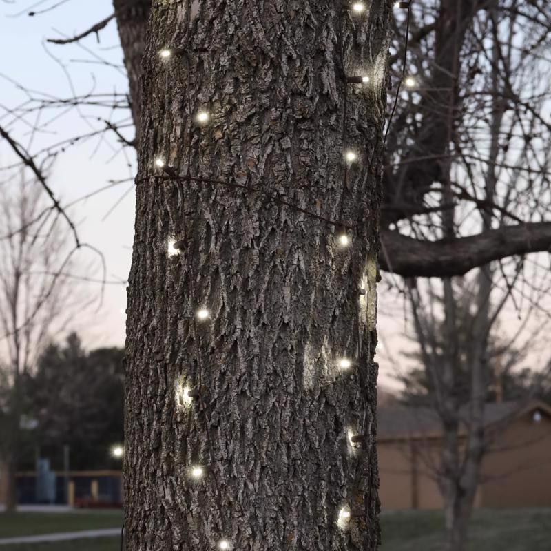 Celebrations Platinum LED Mini Pure White 100 ct Net Christmas Lights 6 ft.