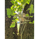 Seasons Bird Skeleton Halloween Decor