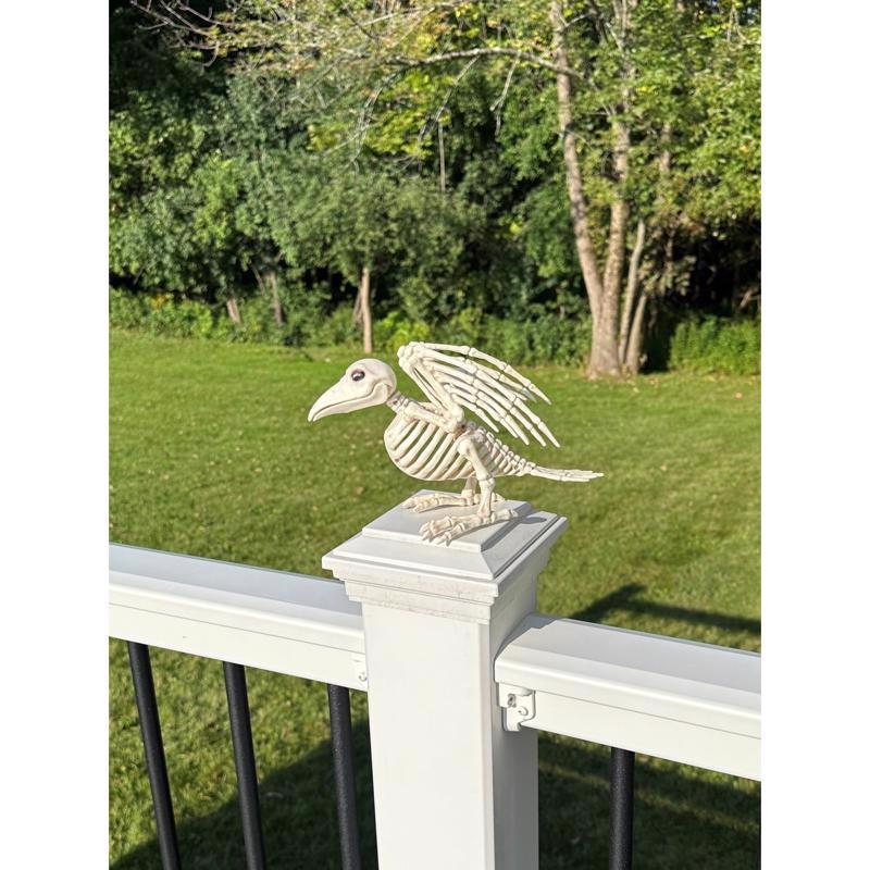 Seasons Bird Skeleton Halloween Decor