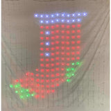 Celebrations LED RGB 576 ct Novelty Christmas Lights 4 ft.