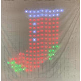 Celebrations LED RGB 720 ct Novelty Christmas Lights 5 ft.