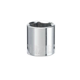 Craftsman 13/16 in. X 3/8 in. drive SAE 6 Point Standard Shallow Socket 1 pc