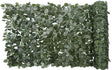 SCREEN PRIVCY IVY LEAF 40X96IN