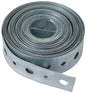 Plumb Pak PP855-8 Pipe Strap, Iron