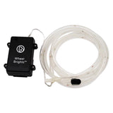 Brightz Wheel Brightz Pink LED Bike Accessory ABS Plastics 1 pk