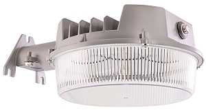 LIGHT AREA LED STD 4000LM 250W