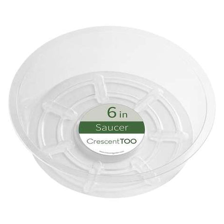 Crescent Garden 2 in. H X 6 in. D Plastic Plant Saucer Clear, Pack of 50