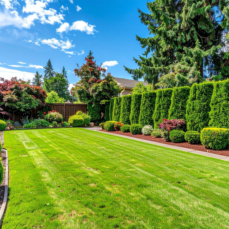 SupremeDIY Lawn & Garden