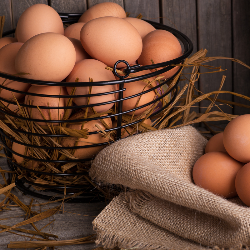 SupremeDIY Farm & Animal Supplies