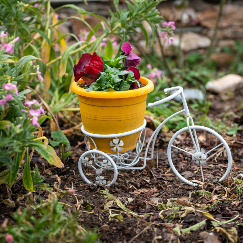 SupremeDIY Outdoor Decor