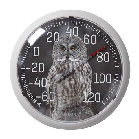 Taylor Owl Dial Thermometer Plastic Multicolored 13.25 in., Pack of 4