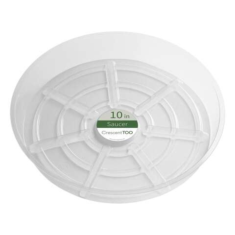 Crescent Garden 2 in. H X 10 in. D Plastic Plant Saucer Clear, Pack of 50