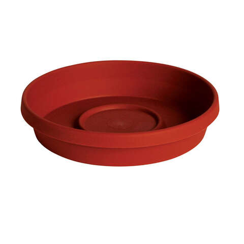 Bloem Terratray 1.2 in. H X 5.5 in. W X 5.5 in. D X 5.5 in. D Resin Traditional Tray Terracotta Clay