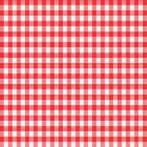 Magic Cover Red/White Checkered Vinyl Disposable Tablecloth 90 in. L X 52 in. W