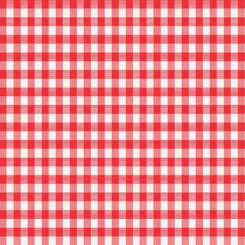 Magic Cover Red/White Checkered Vinyl Disposable Tablecloth 90 in. L X 52 in. W