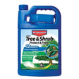 BioAdvanced 12 Month Tree and Shrub Protect & Feed Concentrate 1 gal