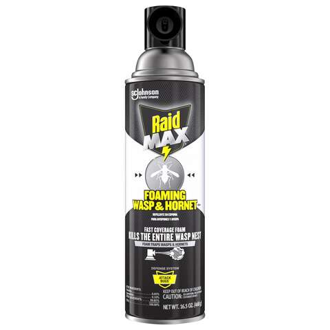 Raid Max Wasp and Hornet Killer Foam 16.5 oz, Pack of 12