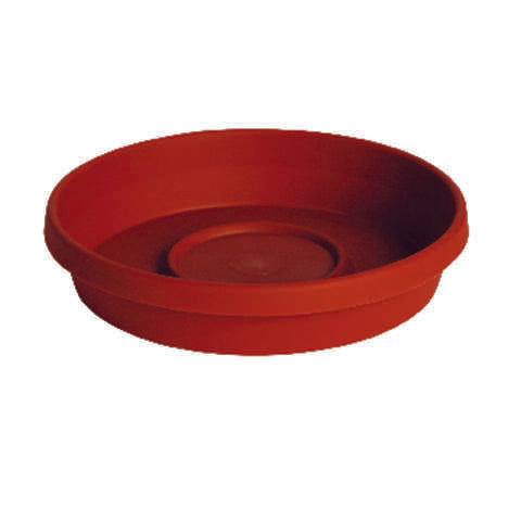 Bloem TerraTray 1.7 in. H X 10 in. D Resin Traditional Plant Saucer Terracotta Clay