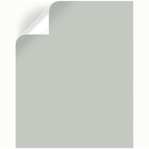 Magnolia Home by Joanna Gaines Wedding Band Peel & Stick Color Sample, Pack of 25