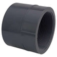 Charlotte Pipe Schedule 80 1-1/2 in. Slip X 1-1/2 in. D Slip PVC Coupling 1 pk