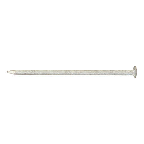 Ace 20D 4 in. Box Hot-Dipped Galvanized Steel Nail Flat Head 1 lb