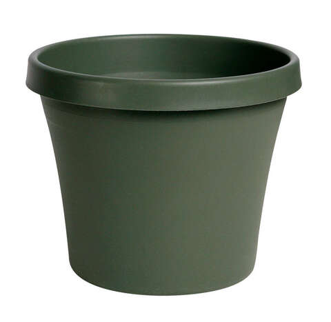 Bloem TerraPot 10.7 in. H X 13 in. W X 12 in. D Resin Classic Planter Living Green