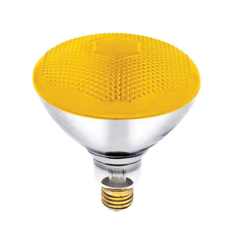 Westinghouse Bug Light 100 W E26 Floodlight Incandescent Bulb E26 (Medium) Yellow 1 pk