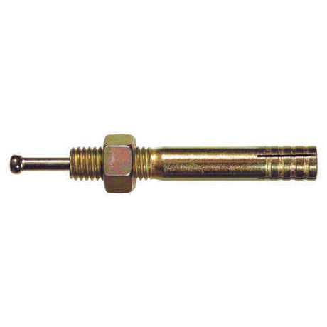 HILLMAN 5/16 in. D X 2-3/4 in. L Steel Round Head Strike Anchor 50 pk