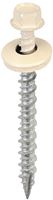 Acorn International SW-MW2LS250 Screw, #9 Thread, High-Low, Twin Lead Thread, Hex Drive, Self-Tapping, Type 17 Point, 250/BAG