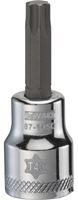 DeWALT DWMT87145OSP Torx Bit Socket, T40 Tip, 3/8 in Drive, Polished Chrome Vanadium