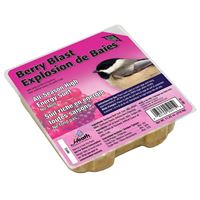 Heath DD-15 Suet Cake, All-Season, Berry, 11.25 oz, Pack of 12