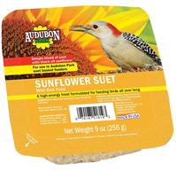 Audubon Park 13067 Sunflower Suet, 9 oz, Pack of 12