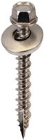 Acorn International SW-MW15SS250 Screw, #9 Thread, High-Low, Twin Lead Thread, Hex Drive, Self-Tapping, Type 17 Point, 250/BAG