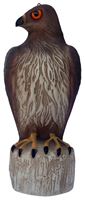 Bird-B-Gone MMRTH1 Hawk Decoy