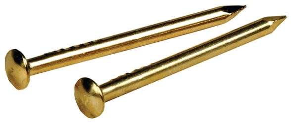 Hillman 122618 Escutcheon Pin, 1/2 in L, Steel, Brass, Pack of 6