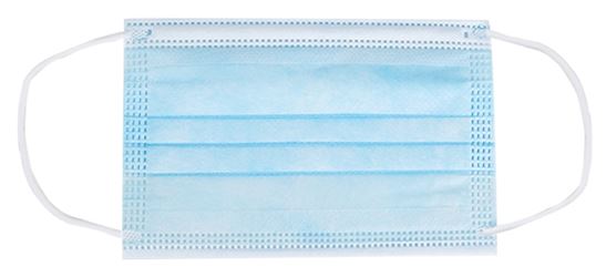 Exclusively Orgill WGBZ04-20 Face Mask, 5-1/2 x 3-1/2 in, 3-Layer, Blue, Elastic Ear Loop Fastening, Disposable