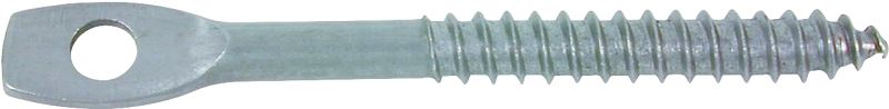 Toolpro 05015 Eye Lag Screw, 3 in L, Carbon Steel, Zinc, 100