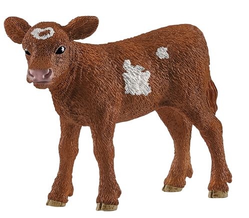 Schleich-S Farm World Series 13881 Toy, 3 to 8 years, M, Texas Longhorn Calf, Plastic