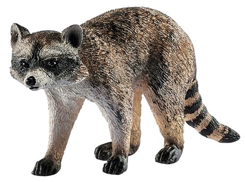 Schleich-S Wild Life Series 14828 Toy, 3 to 8 years, M, Raccoon, Plastic