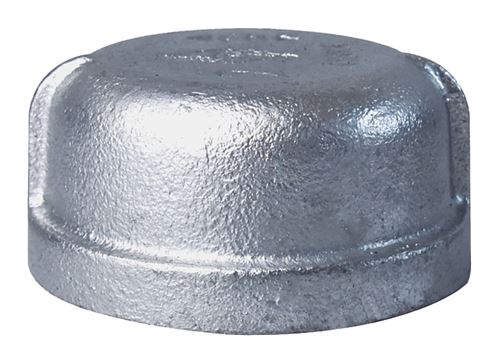 ProSource 18-2G Pipe Cap, 2 in, Threaded