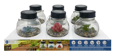 Boston Harbor Jar, Ni-Mh Battery, 1-Lamp, LED Lamp, Glass Stone Succulent Stainless Steel Fixture, Pack of 6